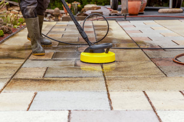 Best Winterizing Services  in Shady Hills, FL