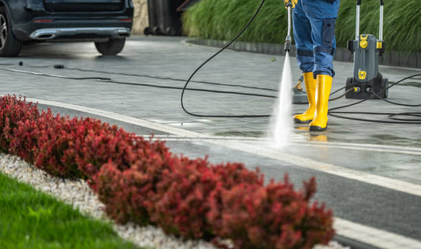 Best House Exterior Washing  in Shady Hills, FL